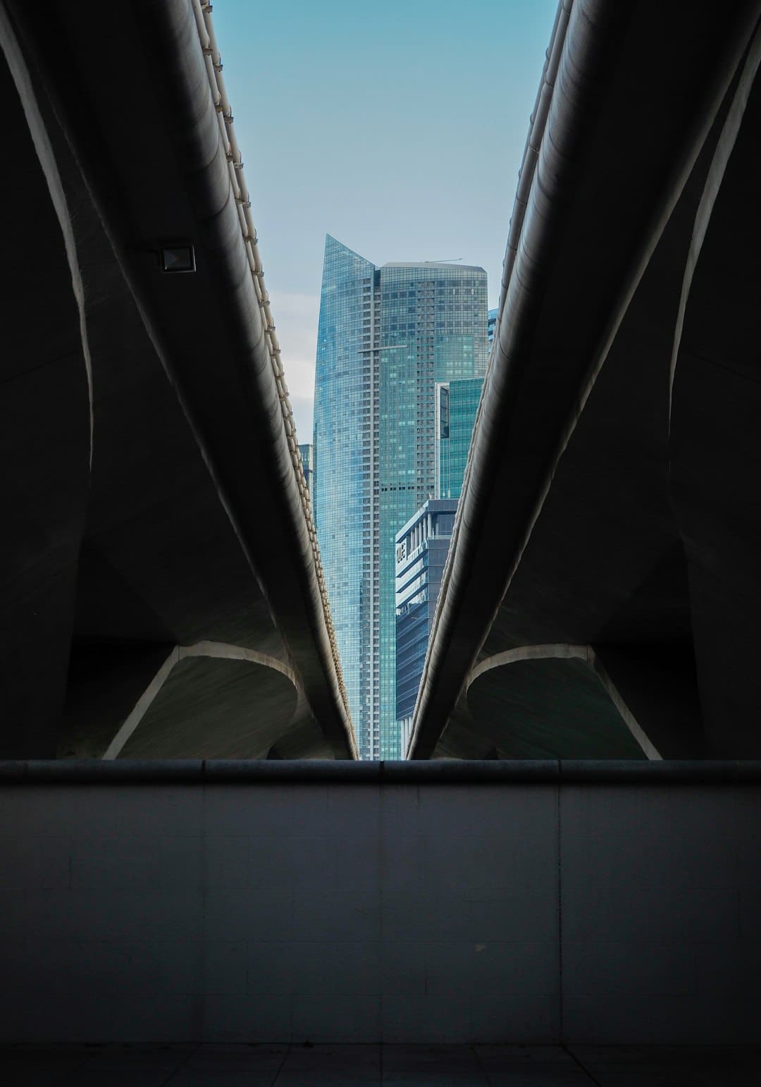 2025 ACP大赛冠军著作怎么诠释残疾人运动精神？